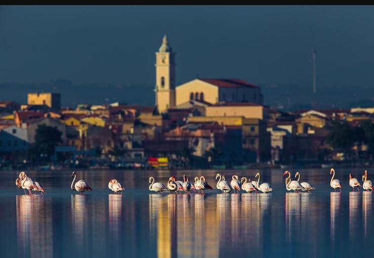 Casale Villa Giulia Marina Di เลซีนา ภายนอก รูปภาพ